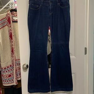 Express Flare Denim, Size 8